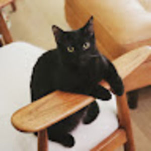 Meet your Posher, Jean-pierre